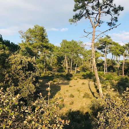 Standing, Luminosite A 100M De La Mer, T3 Prestige Saint-Hilaire-de-Riez Exteriör bild