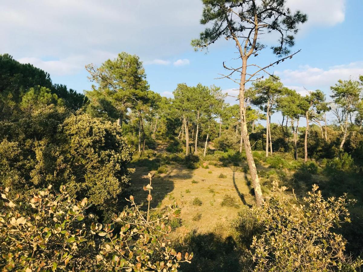 Standing, Luminosite A 100M De La Mer, T3 Prestige Saint-Hilaire-de-Riez Exteriör bild